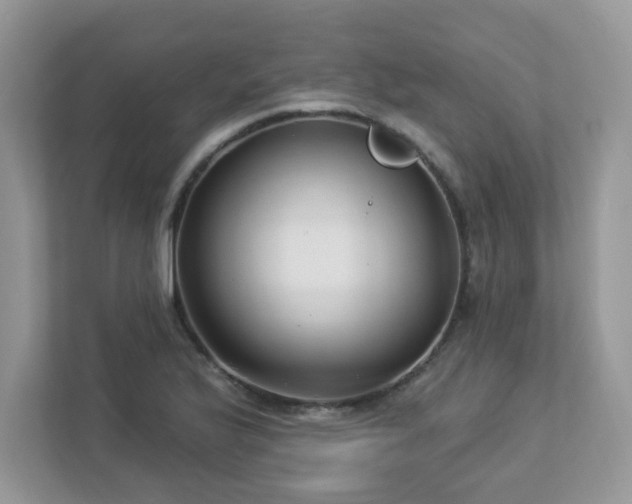 X0000112941175200908241314