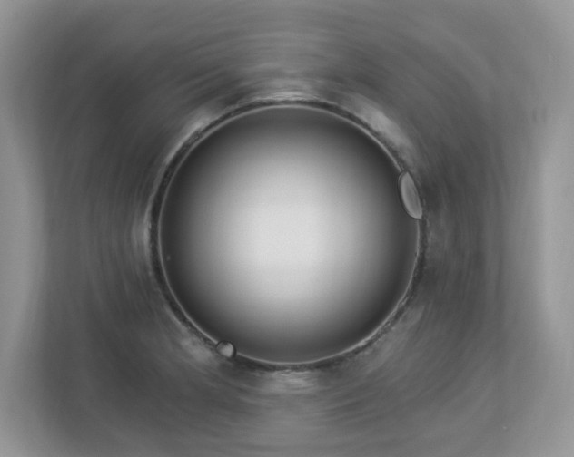 X0000112941181200908241314