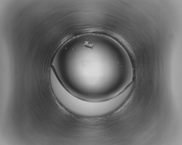X0000112941185200908241314