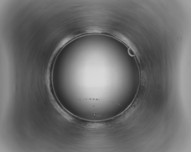 X0000112941187200908241314