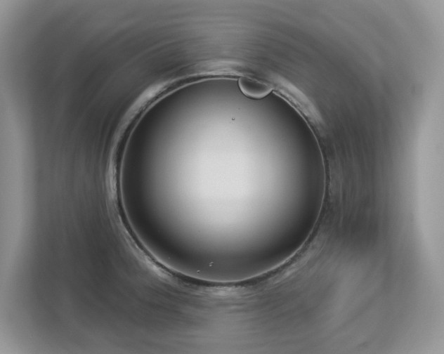 X0000112941188200908241314