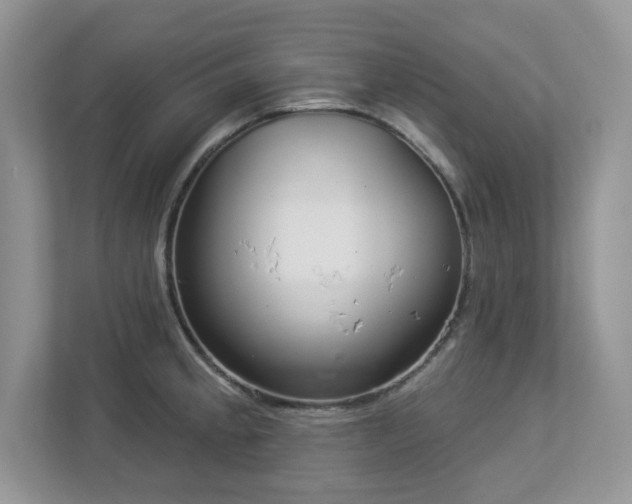 X0000112941189200908241314