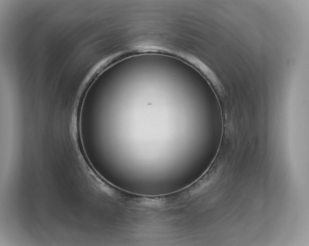 X0000112941191200908241314