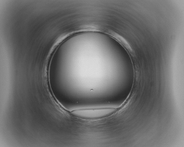 X0000112941192200908241314