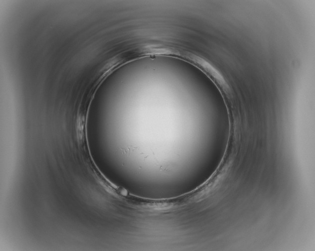 X0000112941193200908241314
