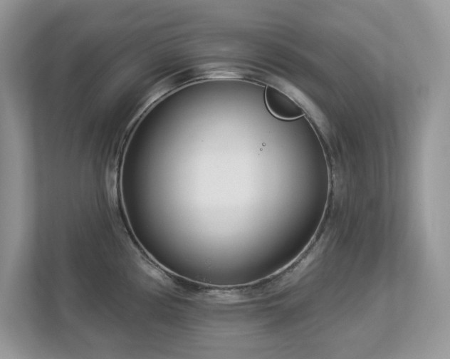 X0000112941194200908241314