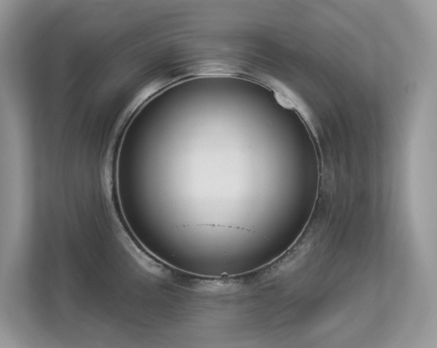 X0000112941195200908241314