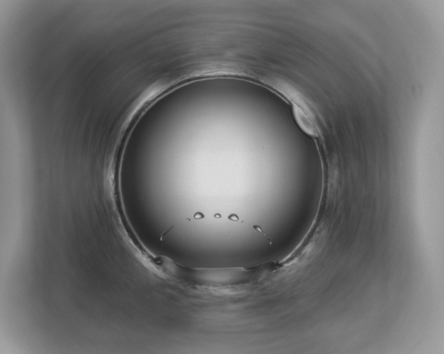 X0000112941197200908241314