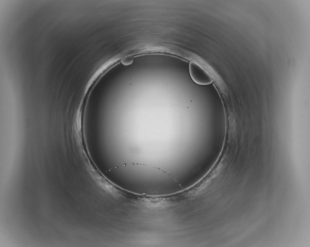 X0000112941198200908241314
