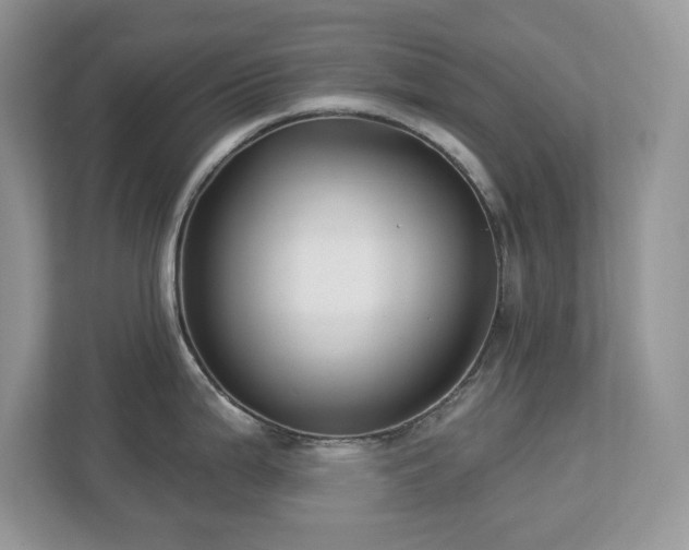 X0000112941199200908241314