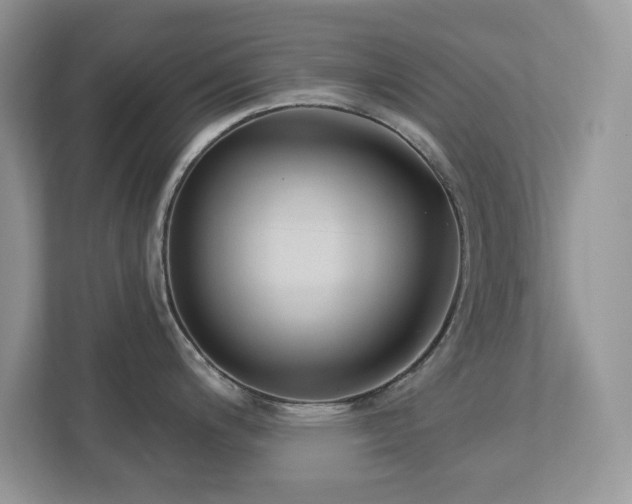 X0000112941200200908241314