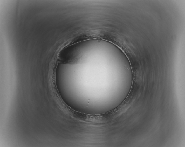 X0000112941201200908241313