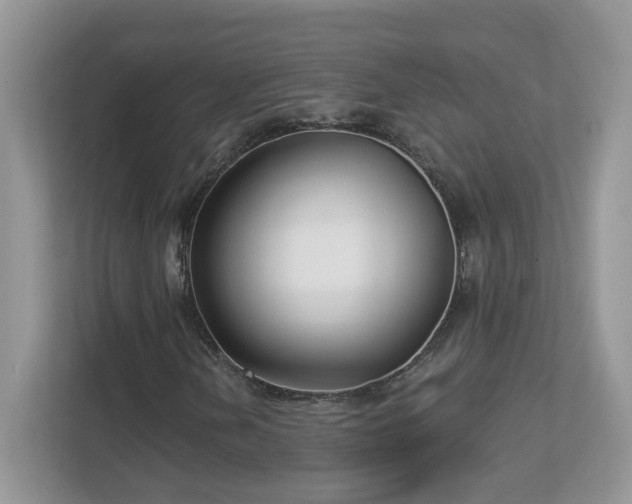 X0000112941202200908241313