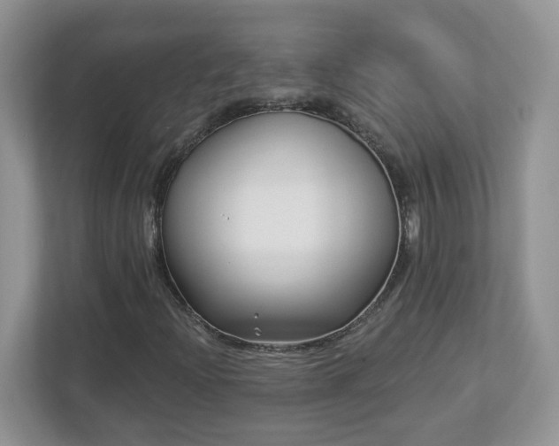 X0000112941204200908241313