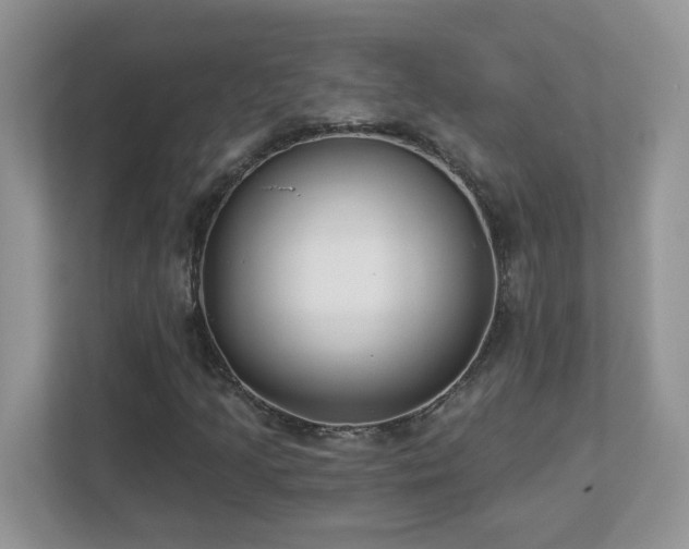 X0000112941205200908241313