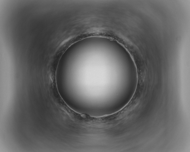 X0000112941206200908241313