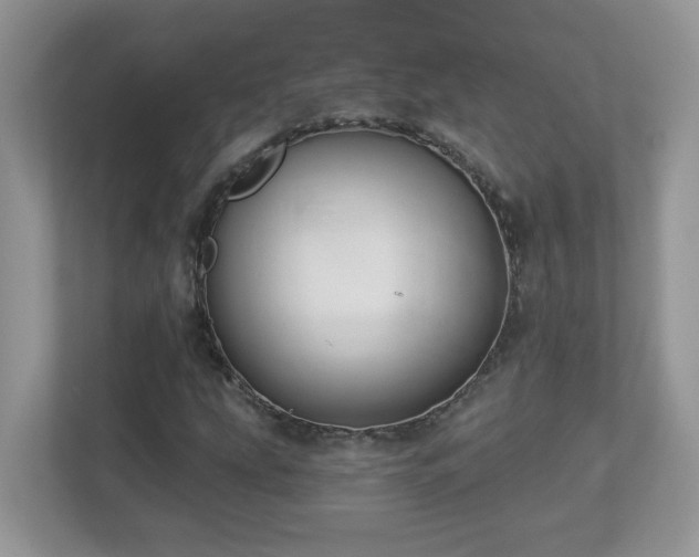 X0000112941207200908241313