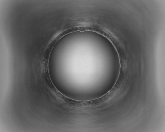 X0000112941208200908241313