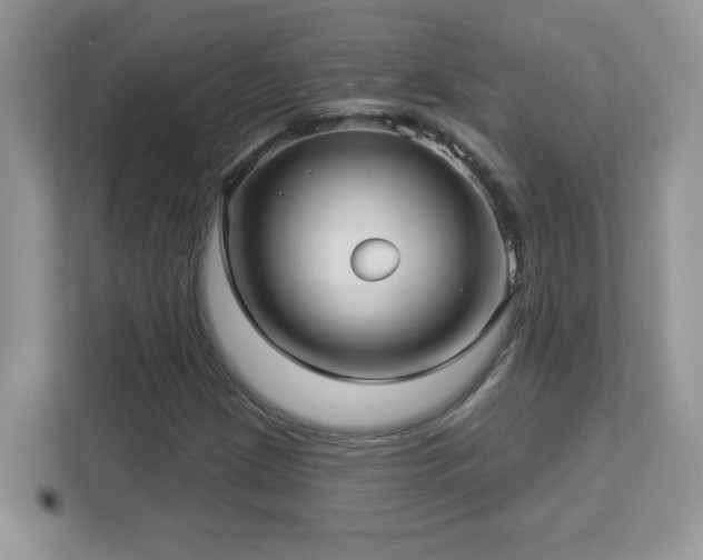 X0000112941209200908241313