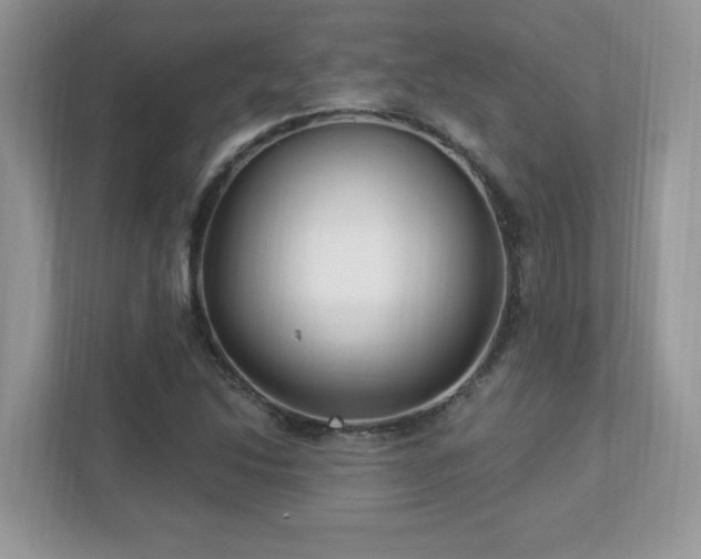 X0000112941214200908241313