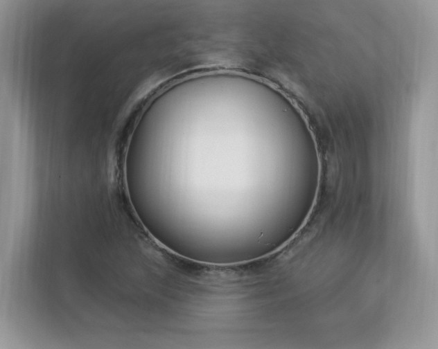 X0000112941215200908241313