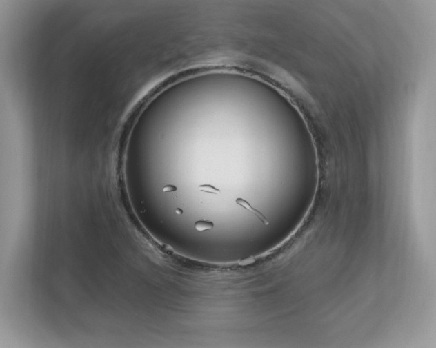 X0000112941216200908241313