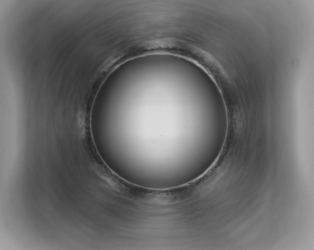 X0000112941217200908241313