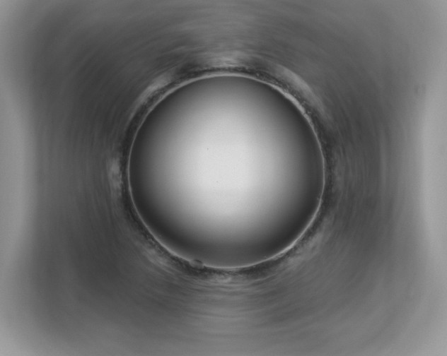 X0000112941218200908241314