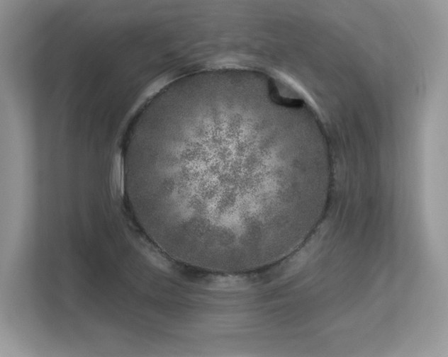 X0000112941219200908241314