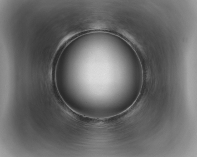 X0000112941222200908241314
