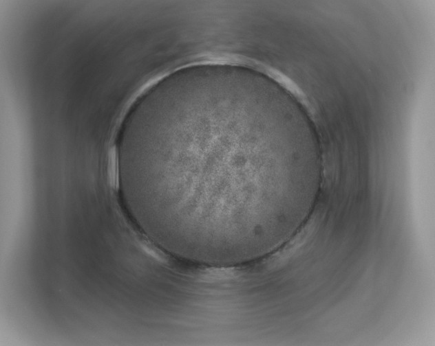 X0000112941223200908241314