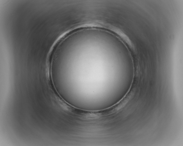 X0000112941224200908241314