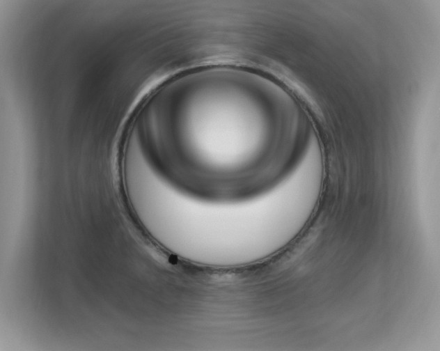 X0000112941230200908241314