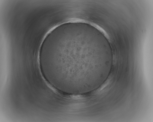 X0000112941231200908241314