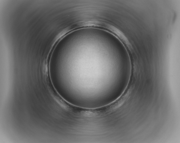 X0000112941234200908241314