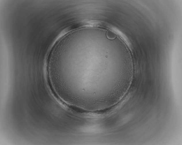 X0000112941235200908241314