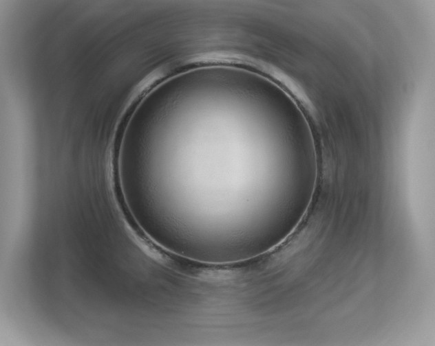 X0000112941237200908241314