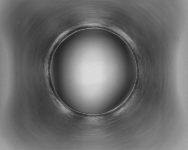 X0000112941240200908241314