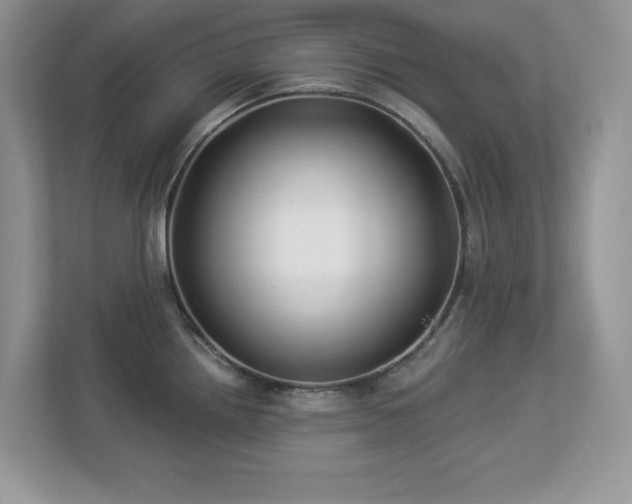 X0000112941242200908241314