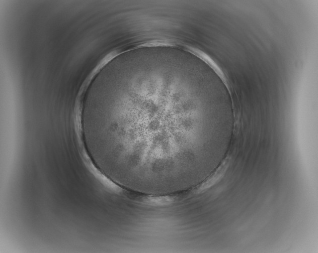 X0000112941243200908241314