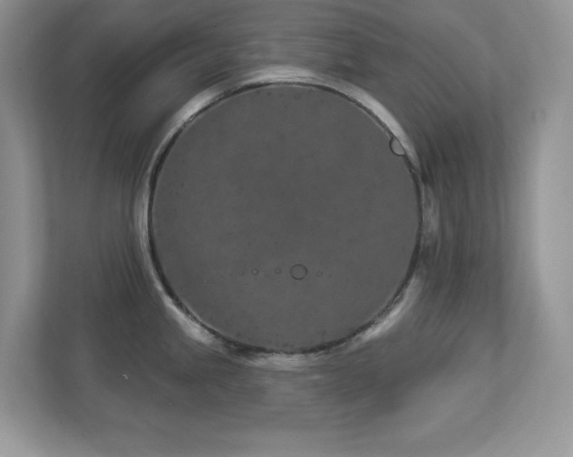 X0000112941245200908241314