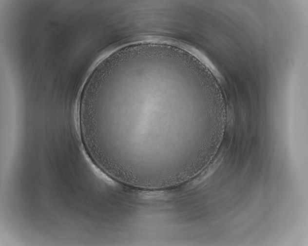 X0000112941247200908241314