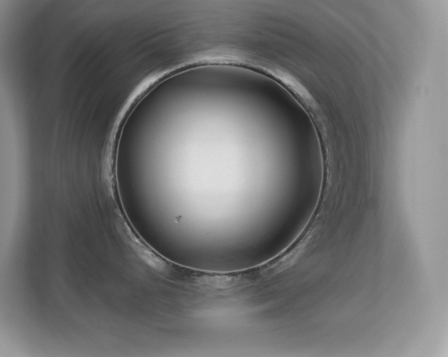 X0000112941248200908241314