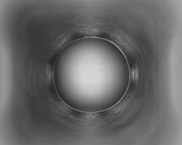 X0000112941251200908241313