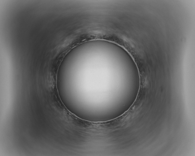 X0000112941253200908241313