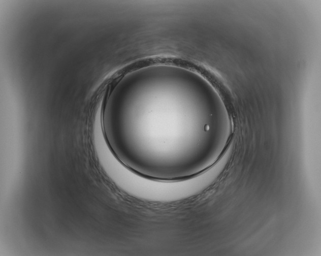 X0000112941255200908241313
