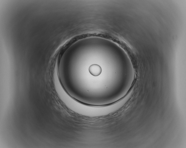 X0000112941256200908241313