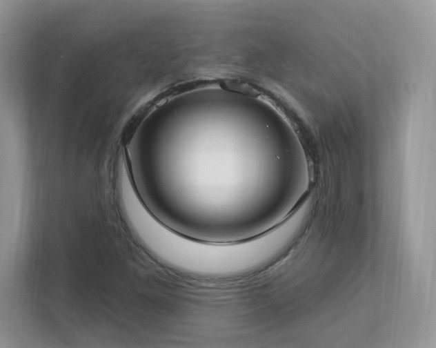 X0000112941261200908241313
