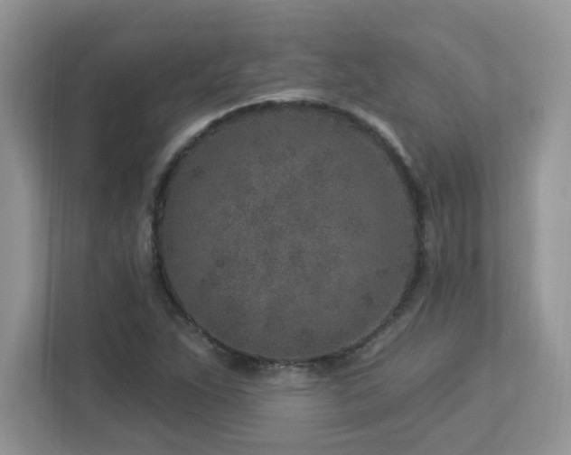 X0000112941263200908241313