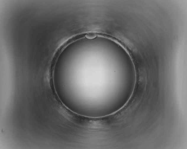 X0000112941264200908241313